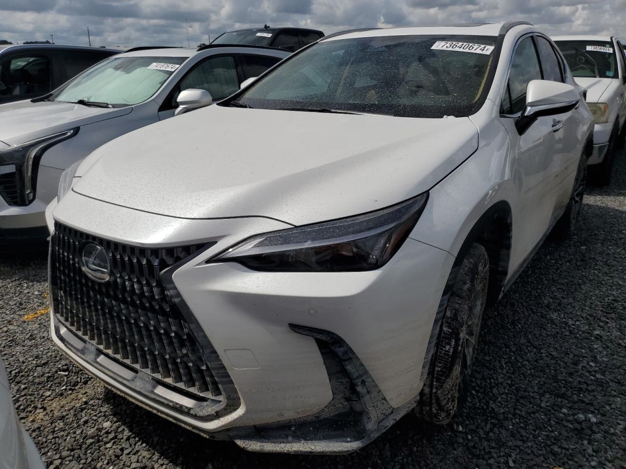 LEXUS NX 250 PRE 2025 | 2.5L 4 | VIN: 2T2GDCAZXSC020763