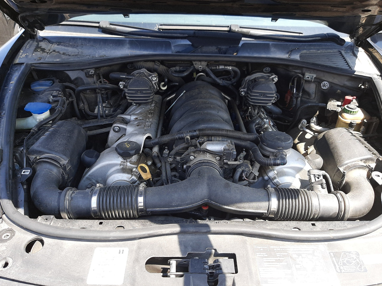 2005 PORSCHE CAYENNE S - WP1AB29P85LA63264