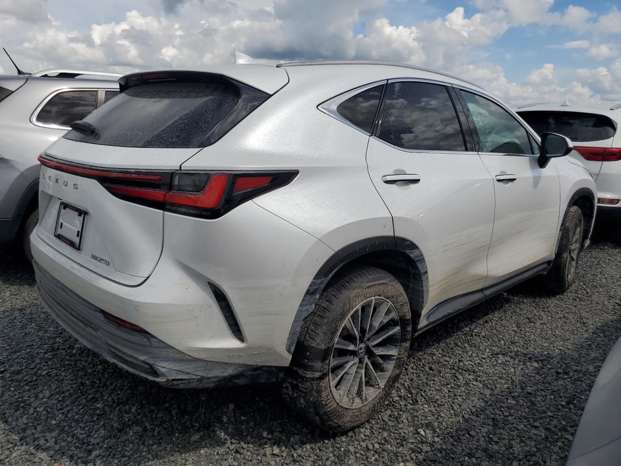 LEXUS NX 250 PRE 2025 | 2.5L 4 | VIN: 2T2GDCAZXSC020763