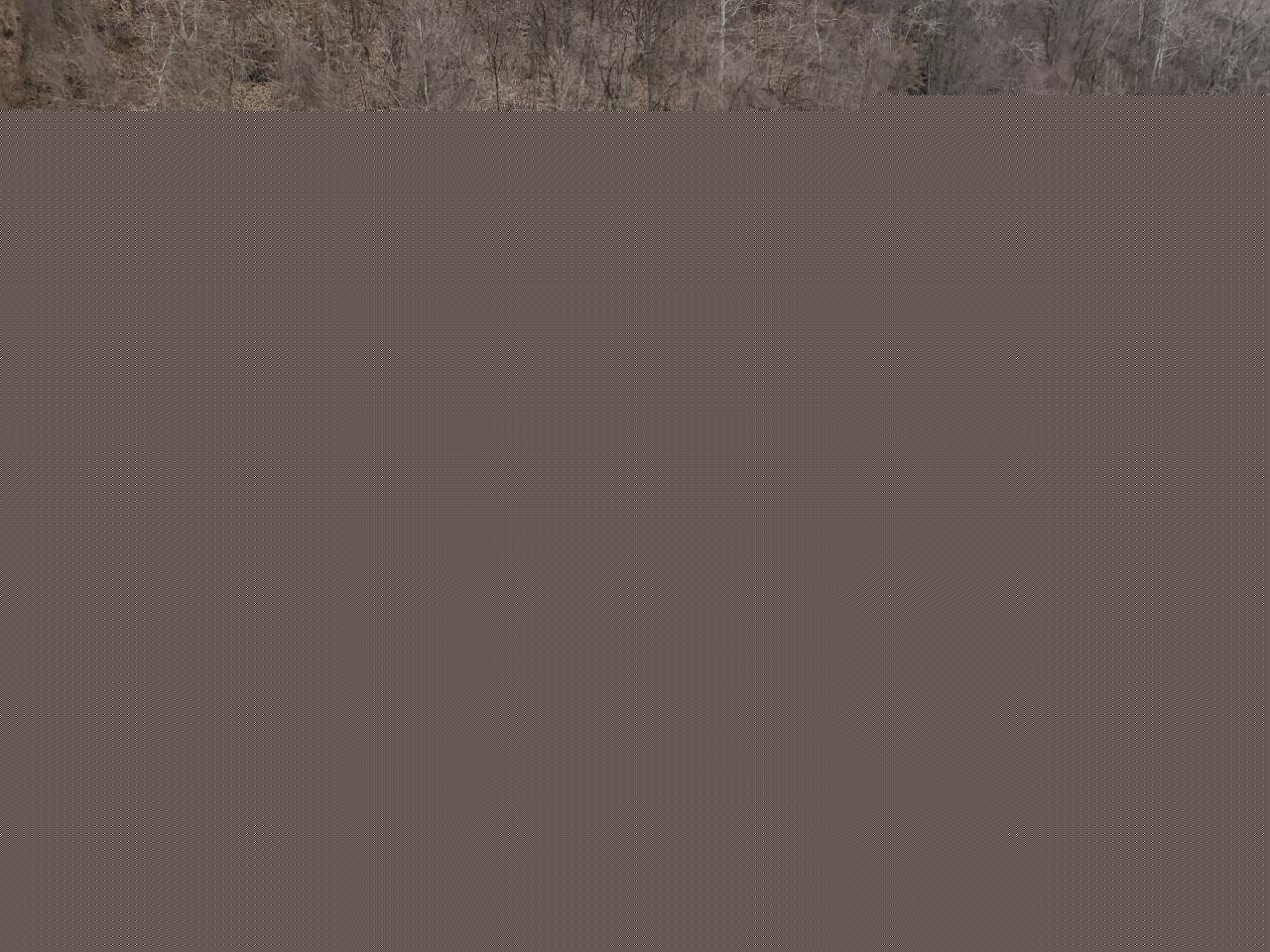 2013 CHEVROLET SILVERADO - 1GCRKSE73DZ301785