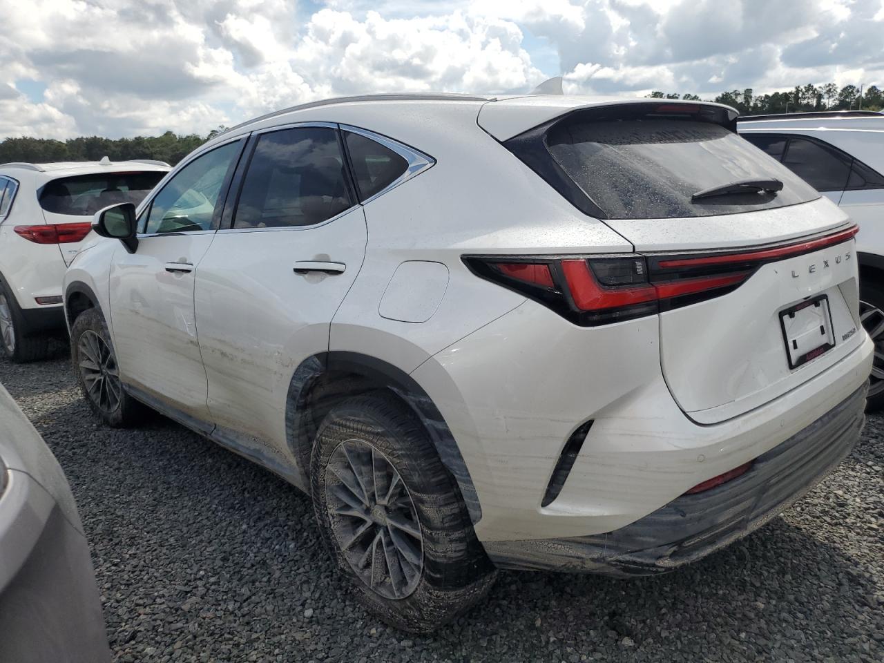LEXUS NX 250 PRE 2025 | 2.5L 4 | VIN: 2T2GDCAZXSC020763