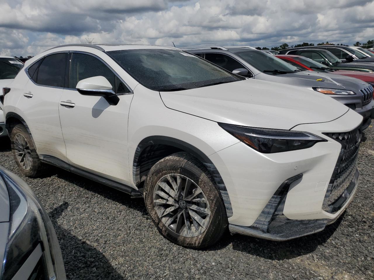 LEXUS NX 250 PRE 2025 | 2.5L 4 | VIN: 2T2GDCAZXSC020763