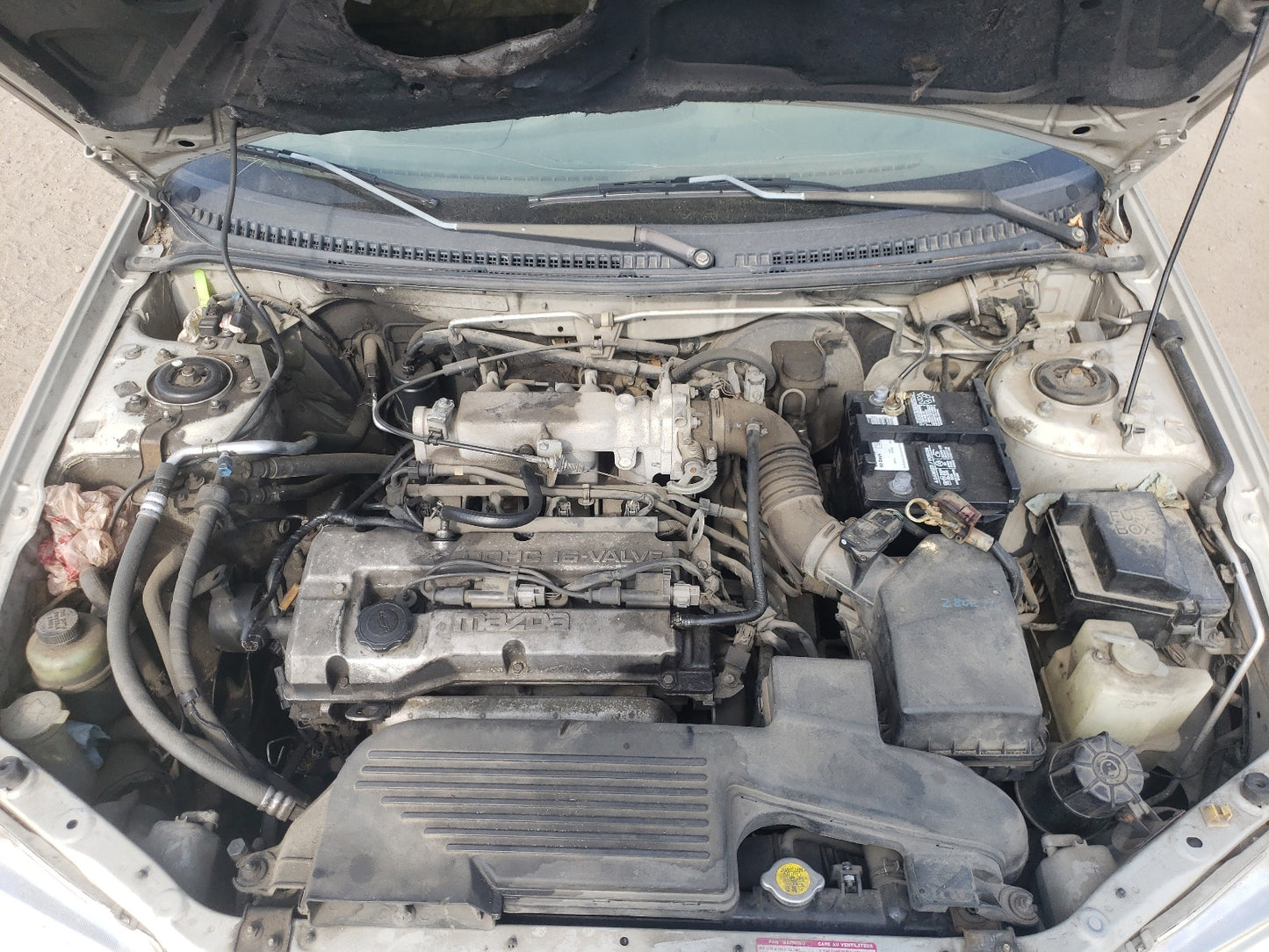1999 MAZDA PROTEGE DX - JM1BJ2223X0119820
