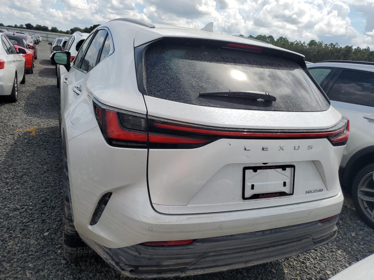 LEXUS NX 250 PRE 2025 | 2.5L 4 | VIN: 2T2GDCAZXSC020763