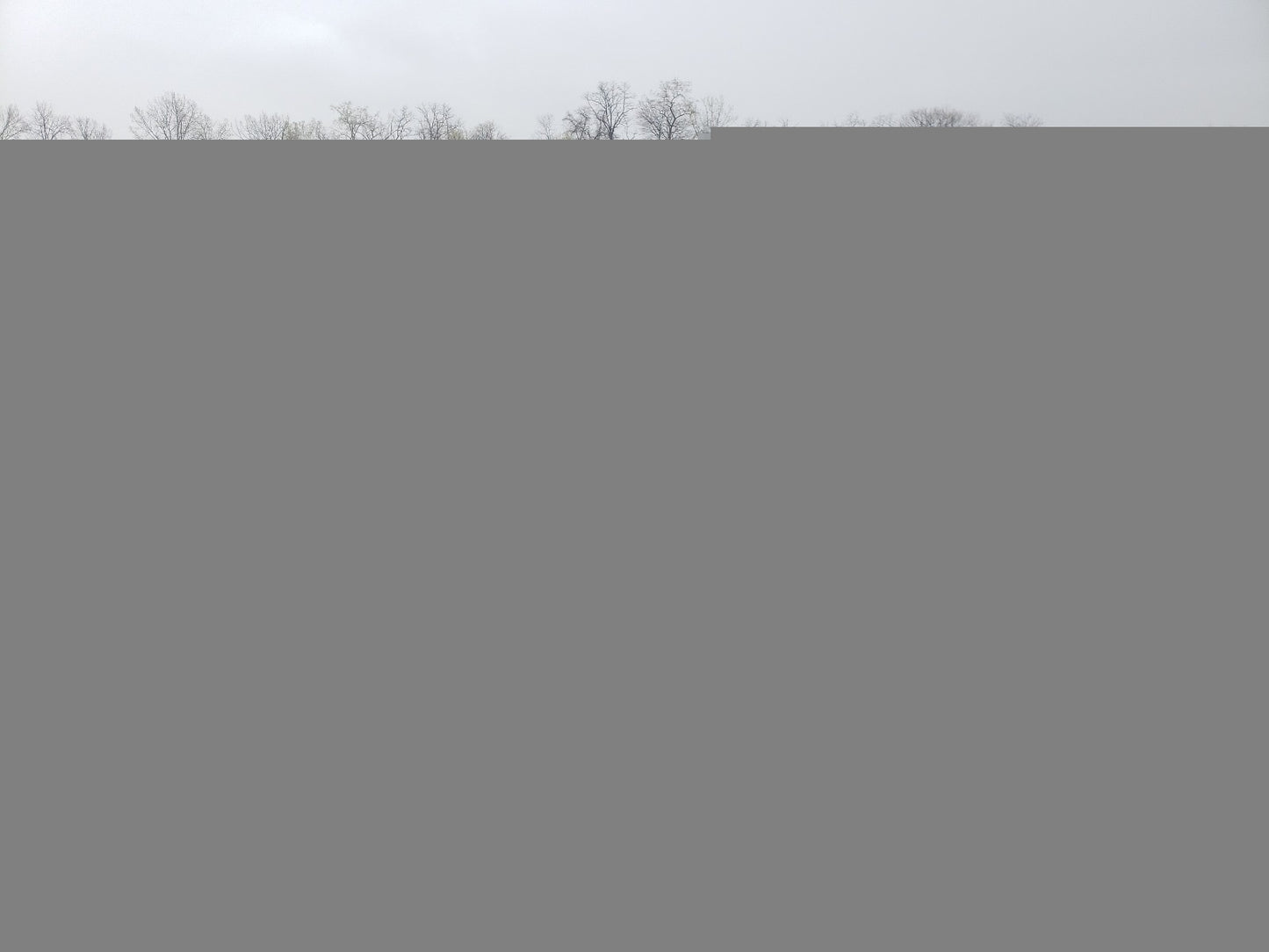 2004 VOLVO C70 LPT - YV1NC63D44J050957