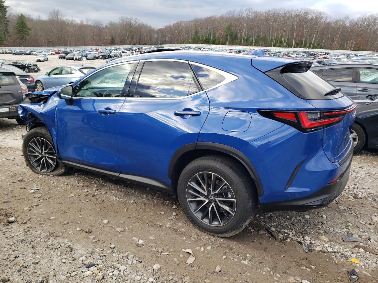 2025 LEXUS NX 350H BA | BLUE | VIN: 2T2HKCEZ9SC038658