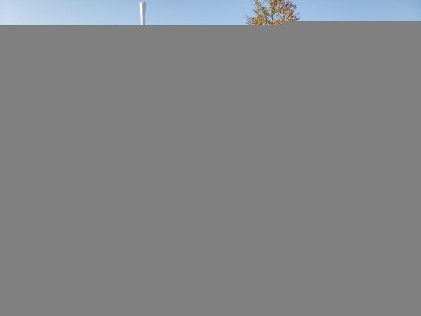 2008 JEEP COMPASS SP - 1J8FF47W58D728825
