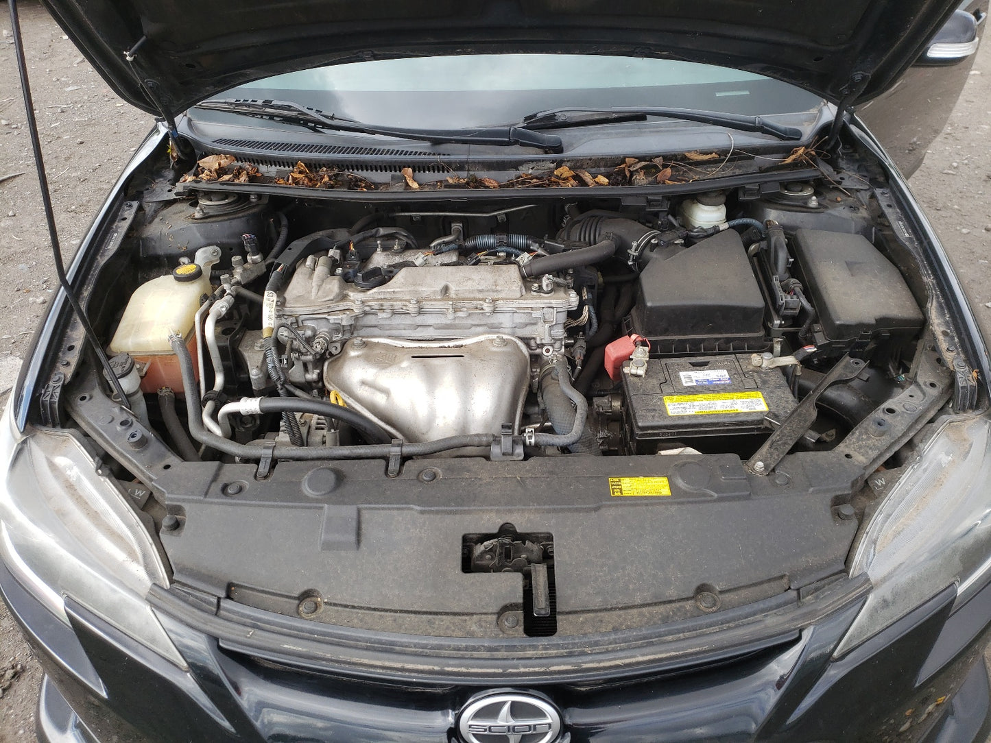 2014 TOYOTA SCION TC - JTKJF5C74E3079034