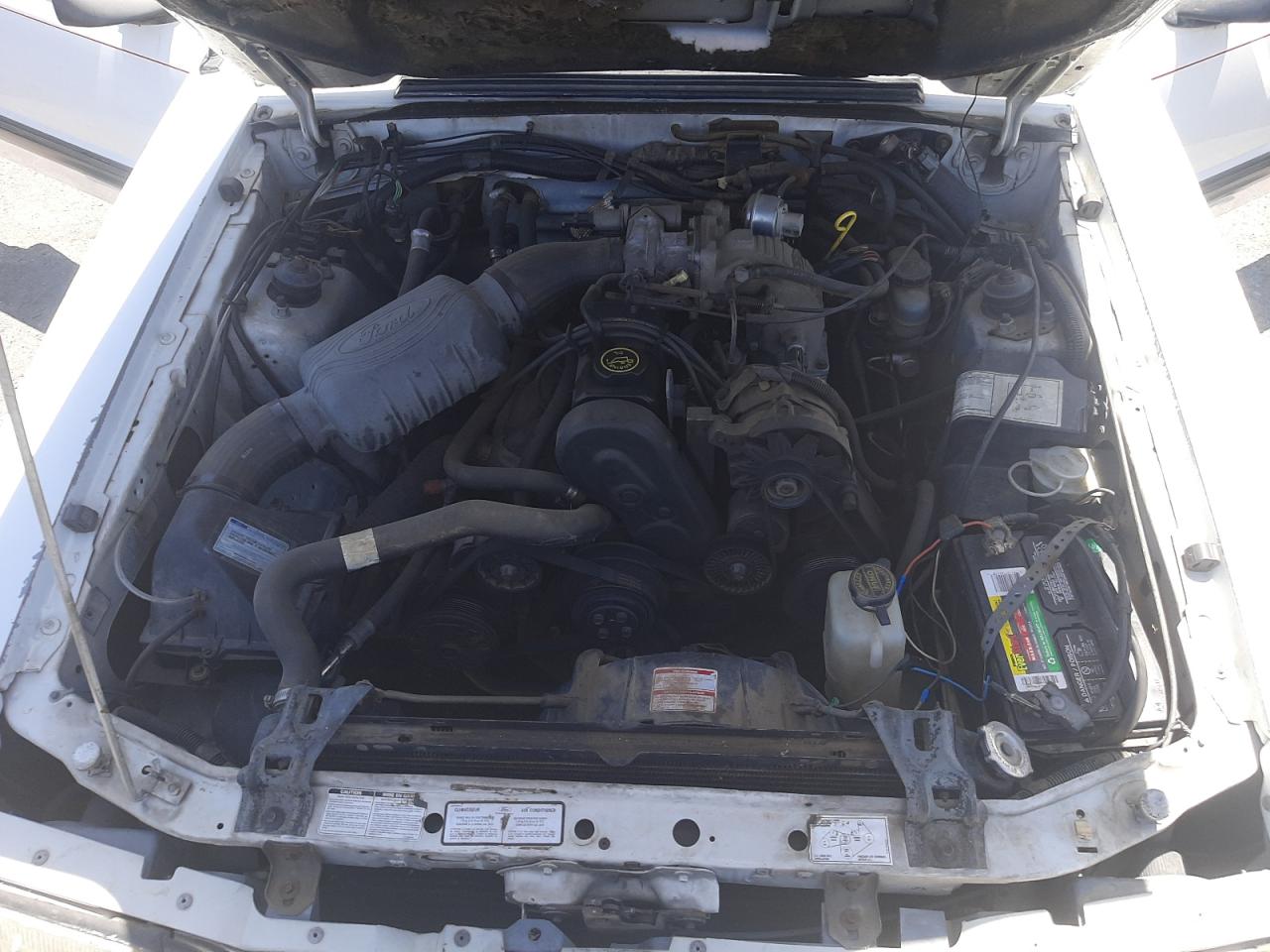 1988 FORD MUSTANG LX - 1FABP40A9JF274161 — photo 7