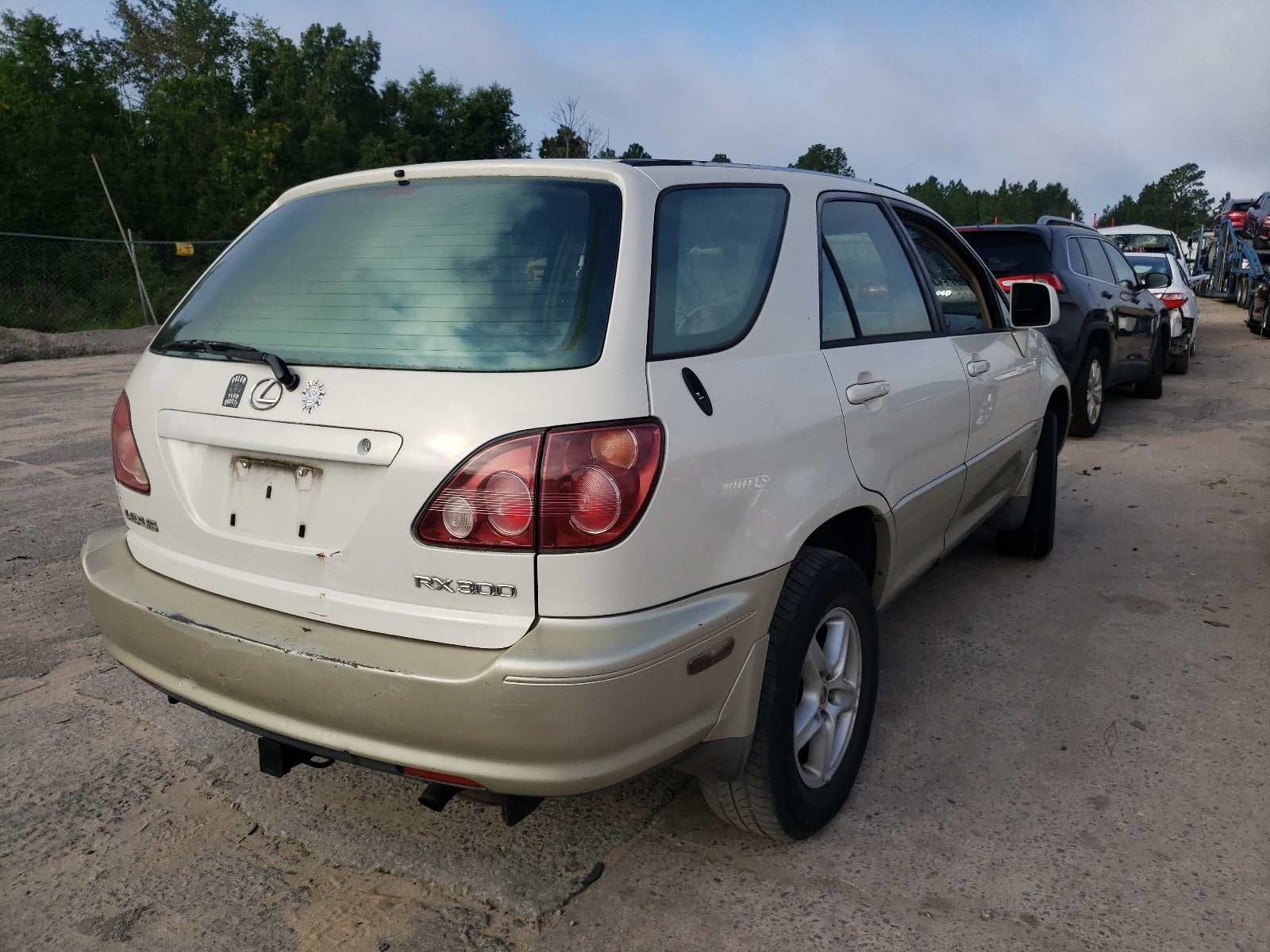 1999 LEXUS RX 300 - JT6GF10UXX0005536 — photo 4