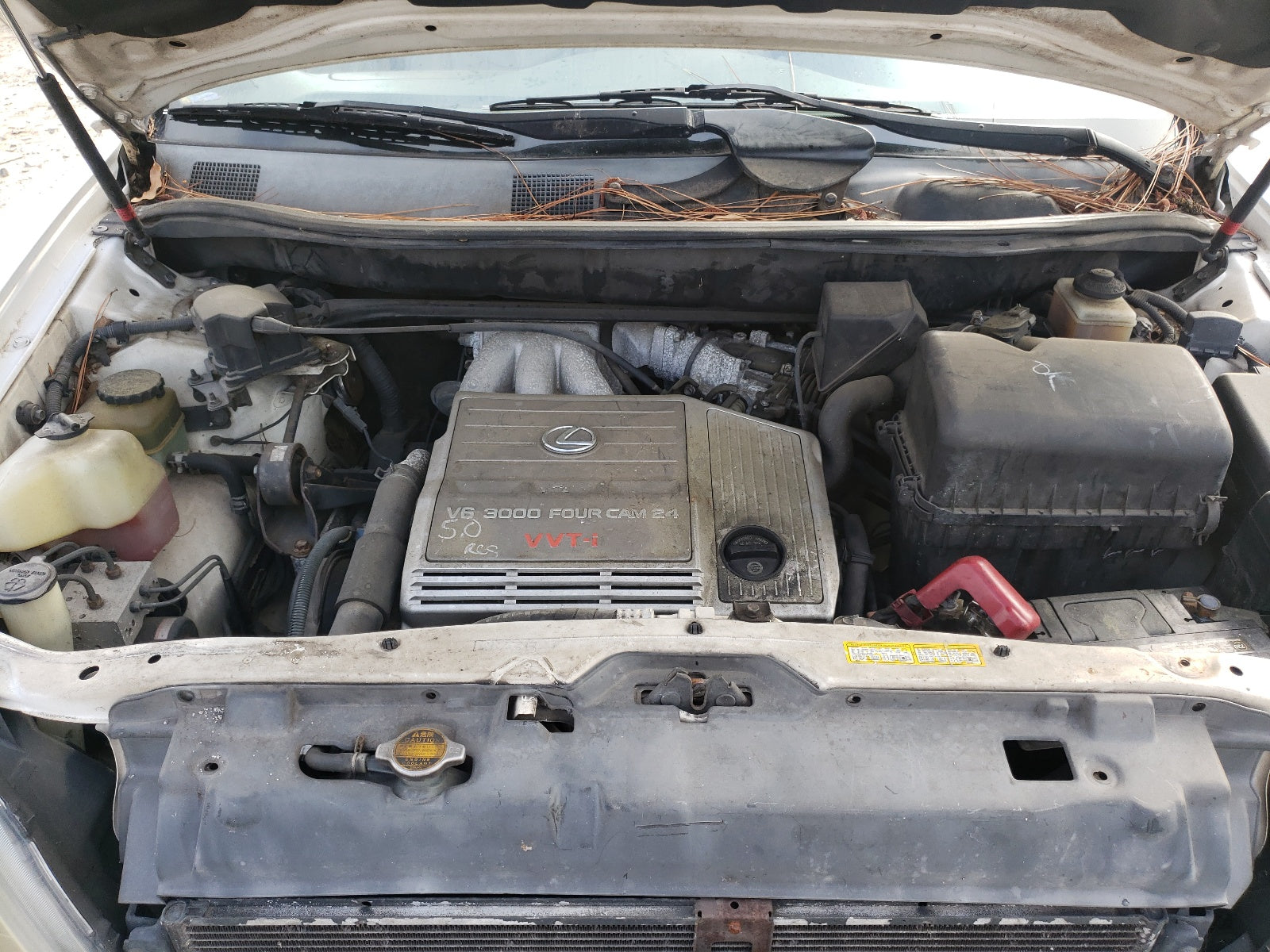 1999 LEXUS RX 300 - JT6GF10UXX0005536 — photo 7