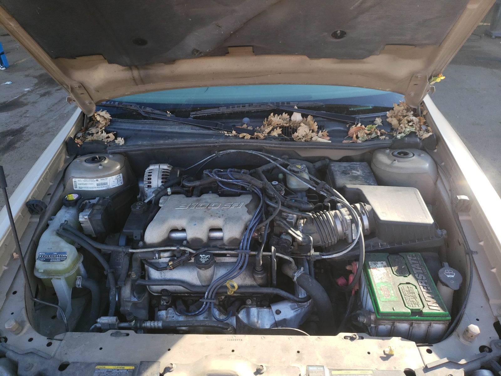 2002 CHEVROLET MALIBU LS - 1G1NE52J52M674272 — photo 7
