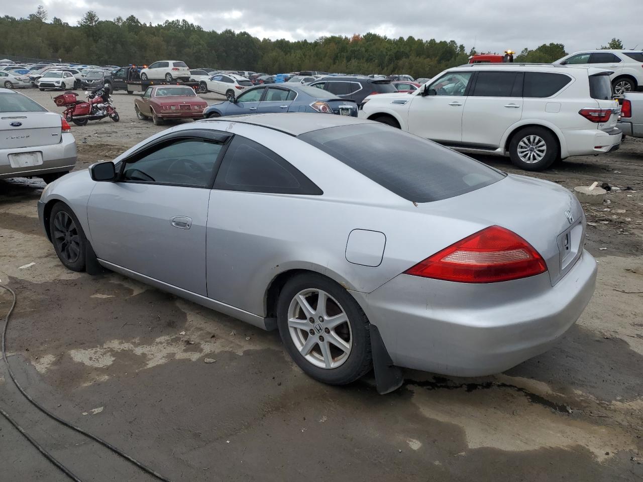 2003 HONDA ACCORD EX - 1HGCM72613A025551 — photo 2