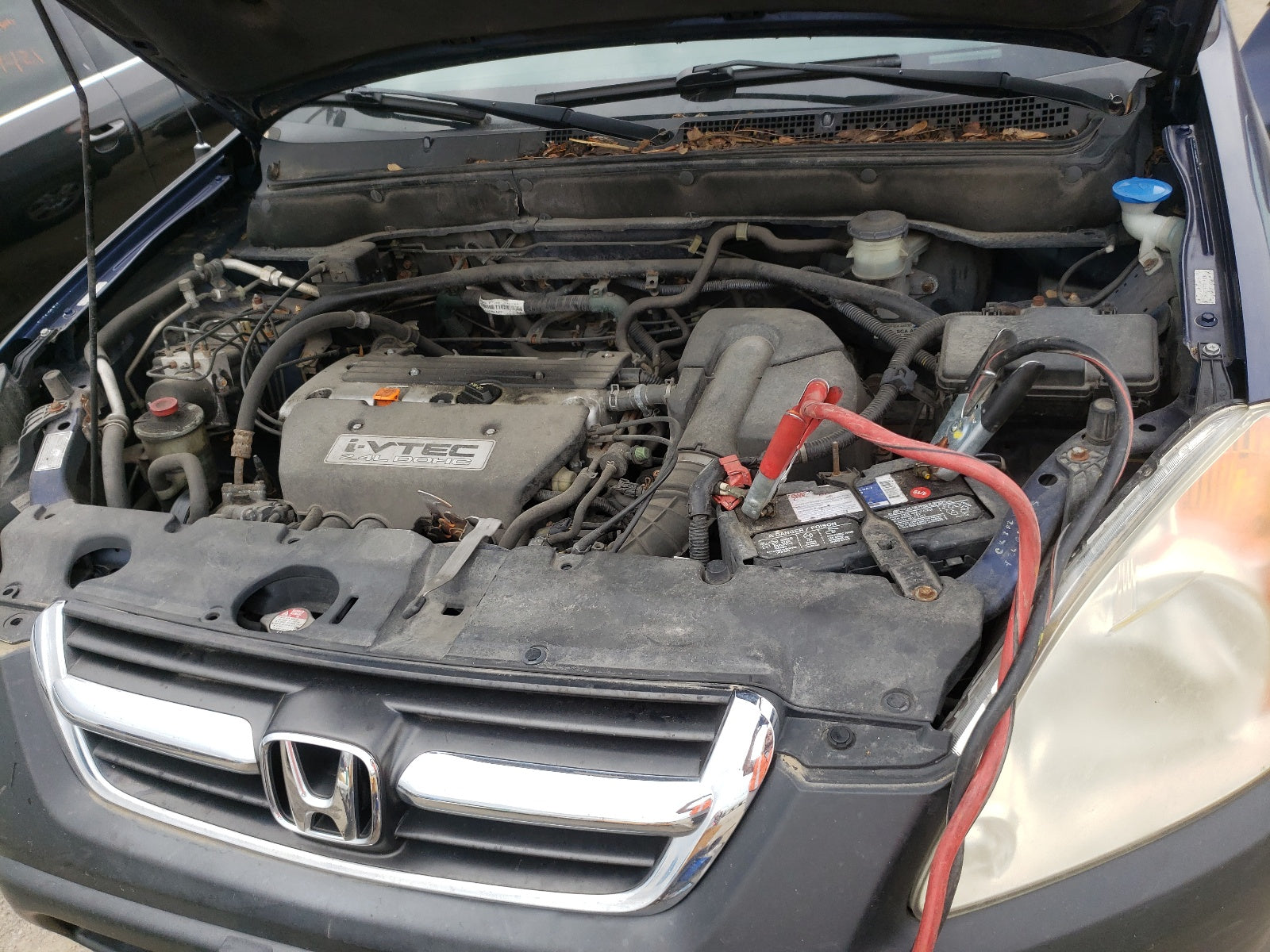 2003 HONDA CR-V EX - SHSRD78813U161034 — photo 7