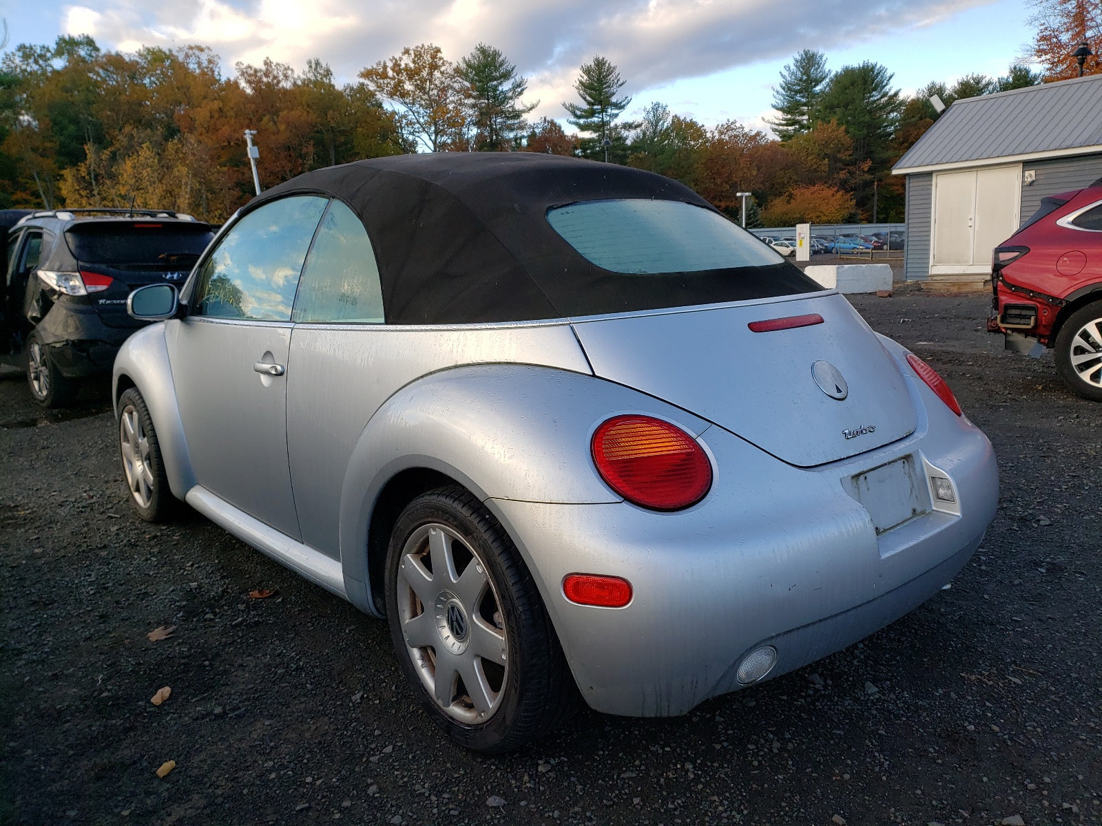 2003 VOLKSWAGEN NEW BEETLE - 3VWDD21Y03M313280 — photo 3