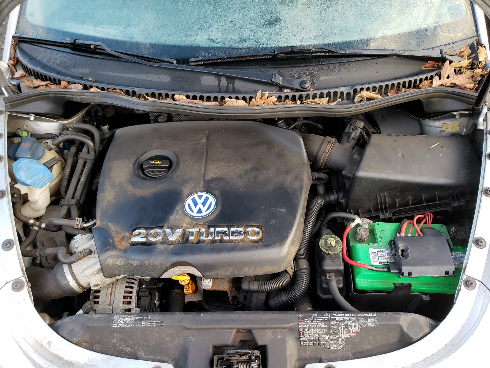2003 VOLKSWAGEN NEW BEETLE - 3VWDD21Y03M313280 — photo 7