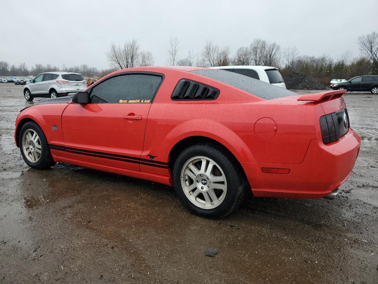 2005 FORD MUSTANG GT - 1ZVFT82H555138661 — photo 2