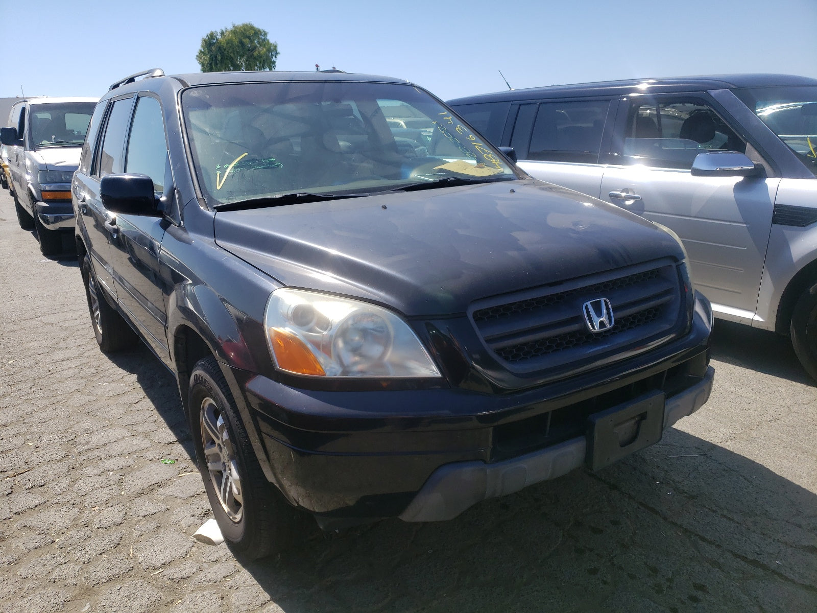 2005 HONDA PILOT - 2HKYF18595H539847 — photo 1