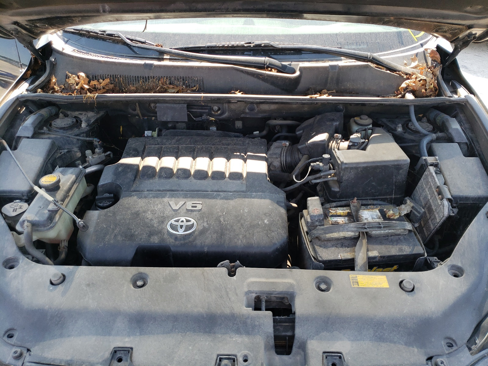 2006 TOYOTA RAV4 - JTMBK33V165007787 — photo 7