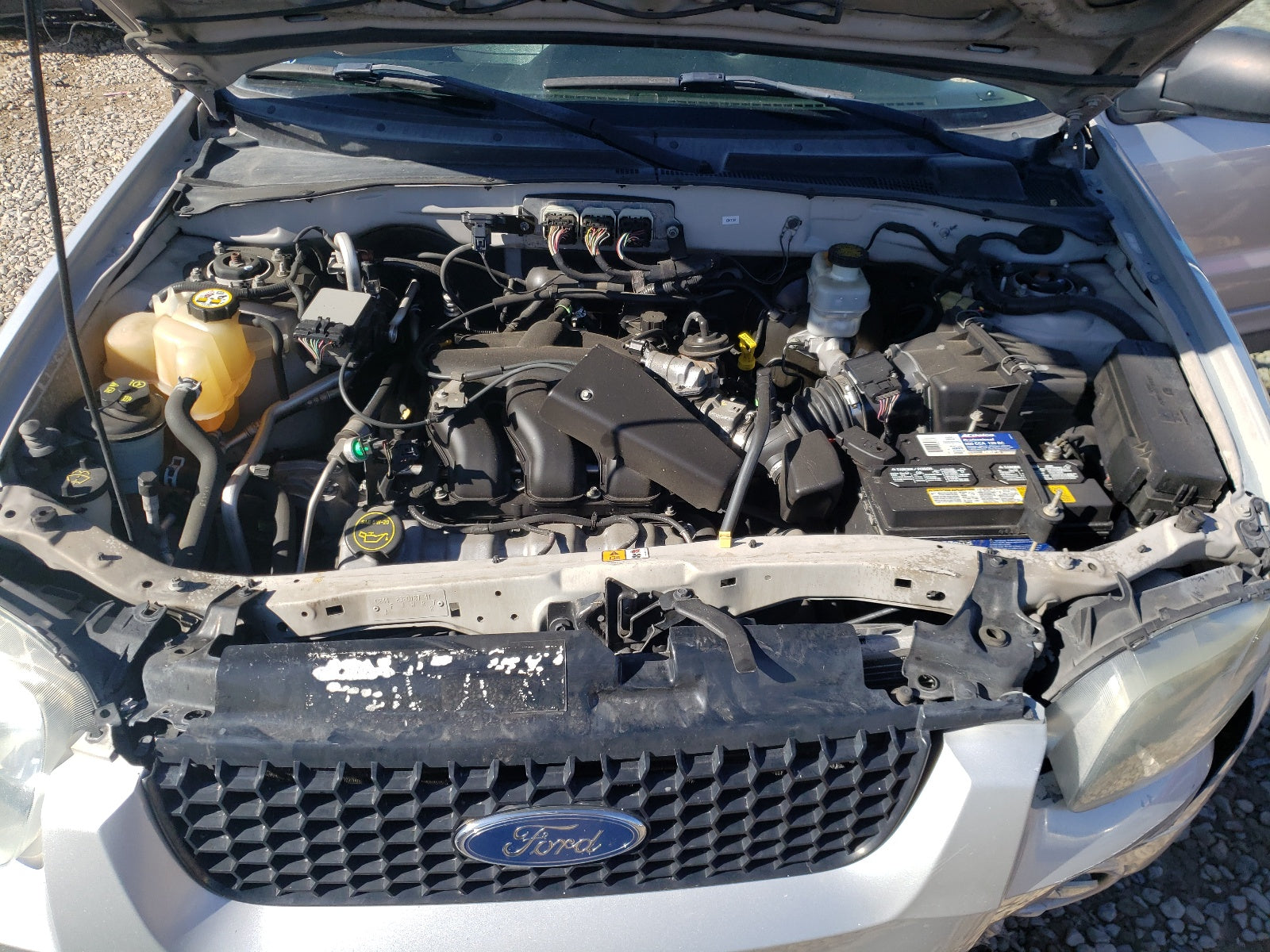 2007 FORD ESCAPE LIM - 1FMCU94137KA52905 — photo 7