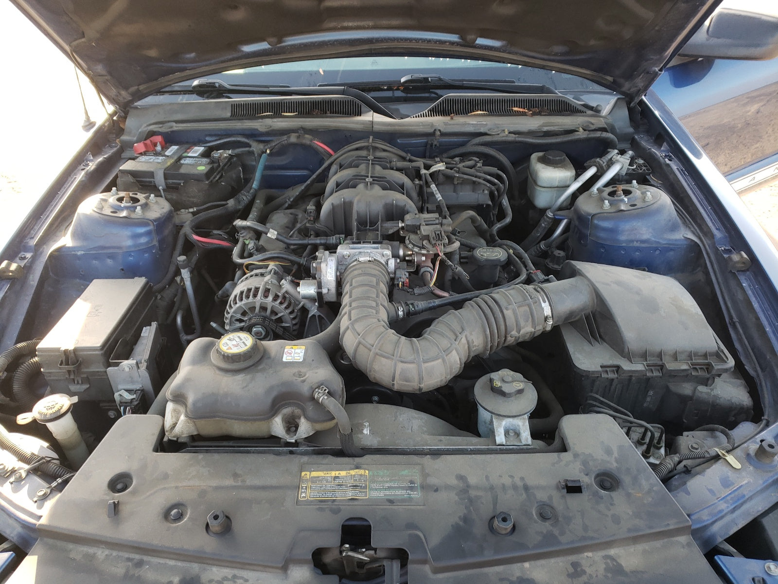 2007 FORD MUSTANG - 1ZVHT80N575363960 — photo 6
