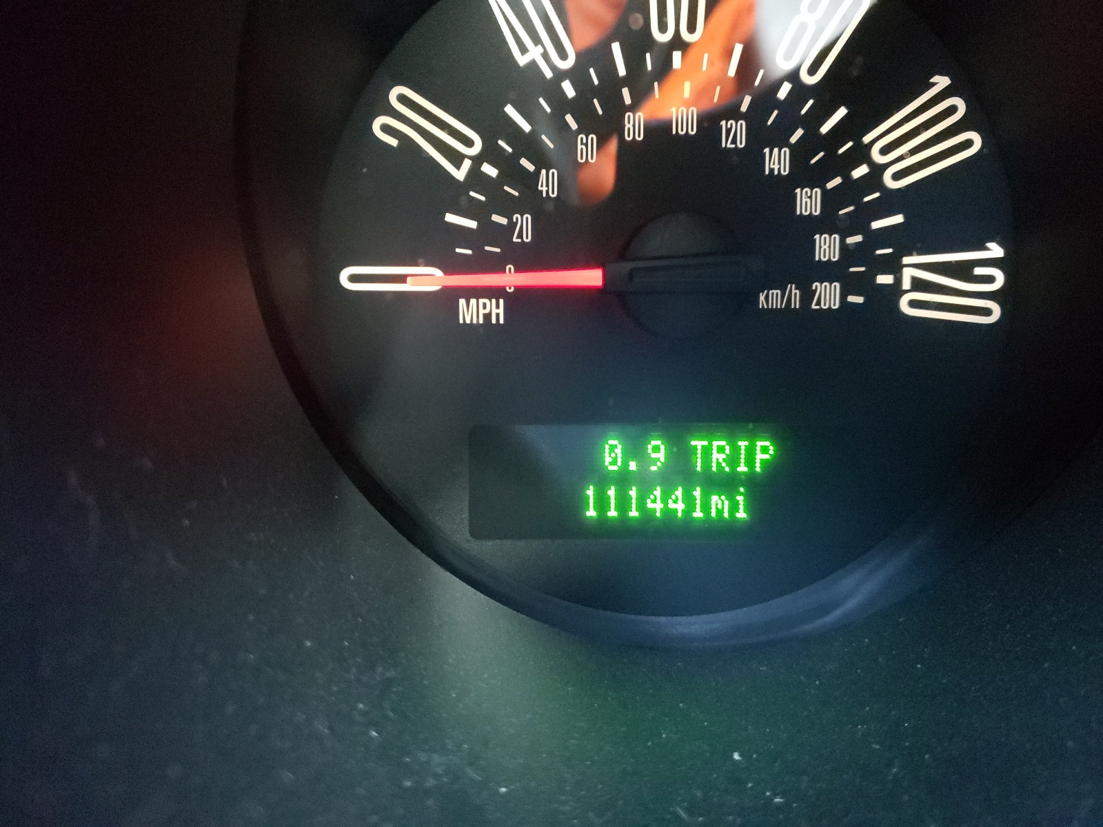 2007 FORD MUSTANG - 1ZVHT80N575363960 — photo 7
