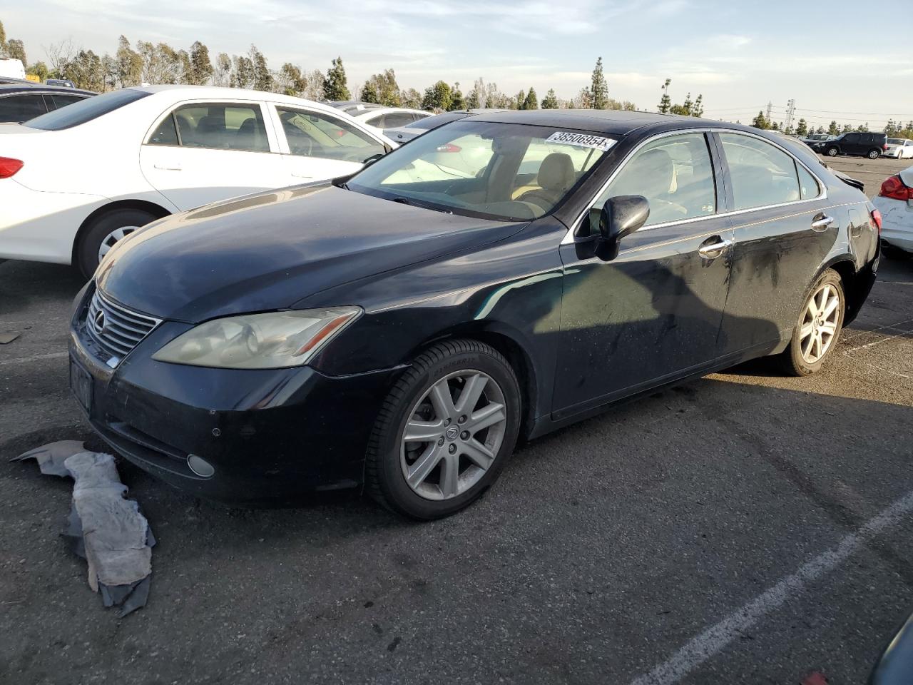 2009 LEXUS ES 350 - JTHBJ46G492340740 — photo 1