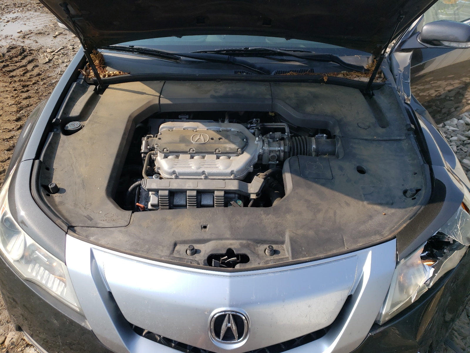 2010 ACURA TL - 19UUA8F25AA013345 — photo 7