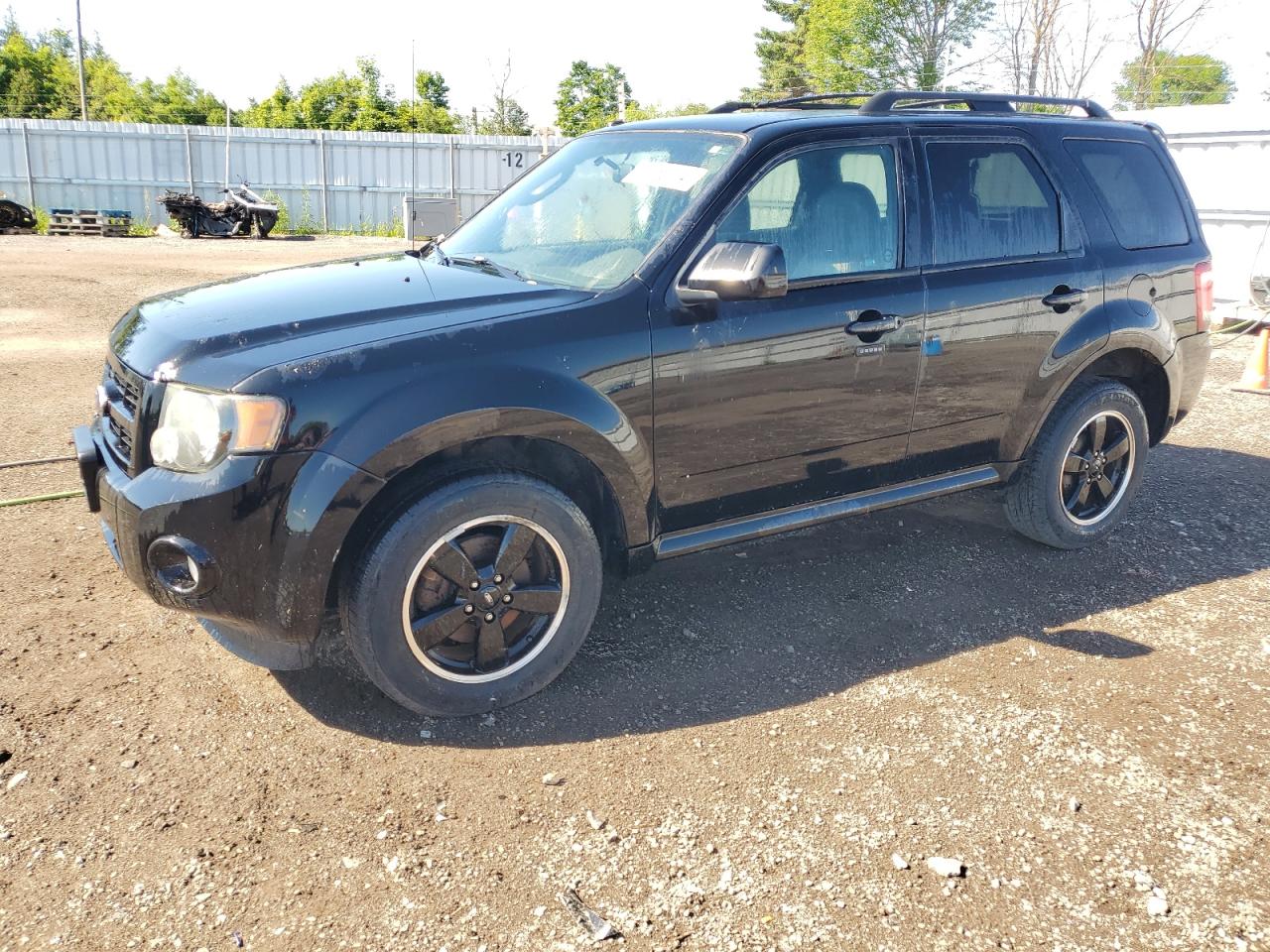 2010 FORD ESCAPE XLT - 1FMCU0DGXAKA51273 — photo 1