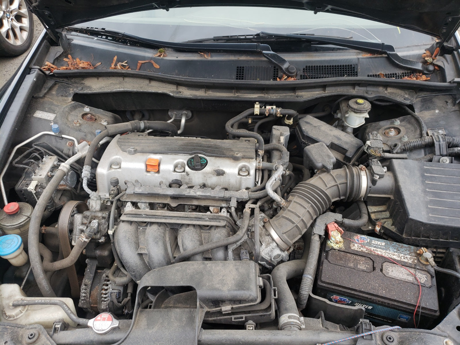 2010 HONDA ACCORD LX - 1HGCP2F31AA173075 — photo 6