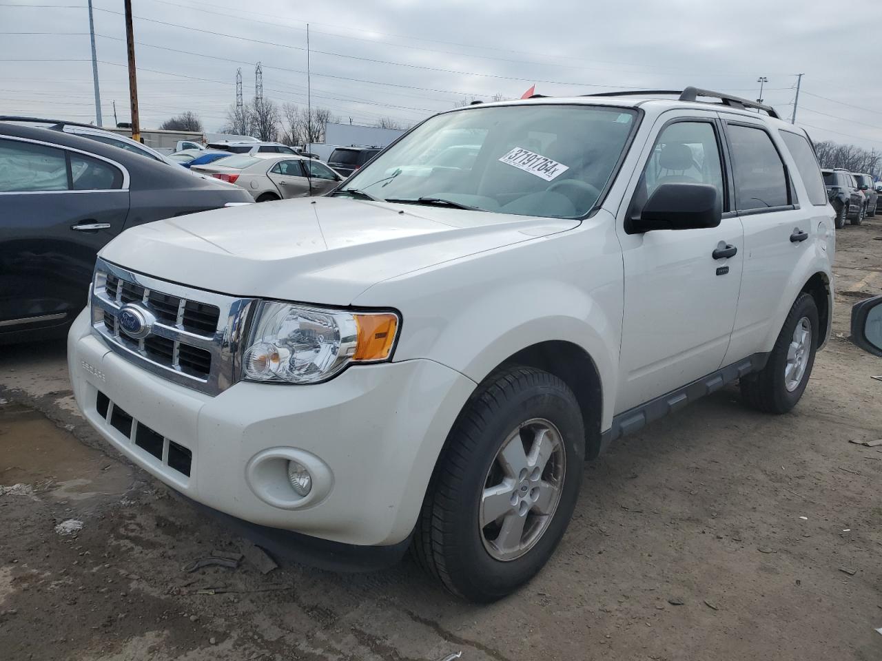2011 FORD ESCAPE XLT - 1FMCU0D73BKB58702 — photo 1