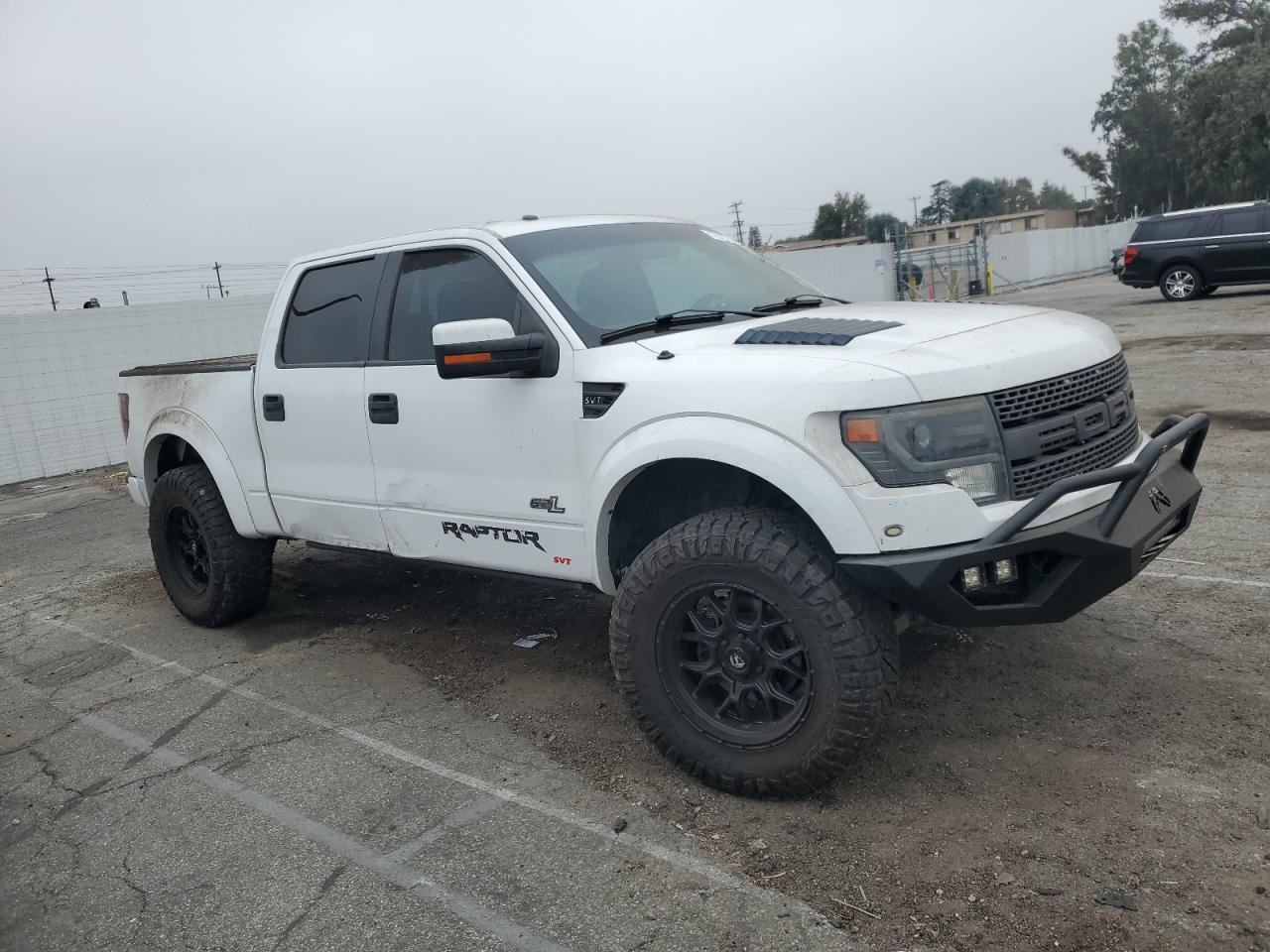 2013 FORD F150 SVT R - 1FTFW1R61DFC05464 — photo 3