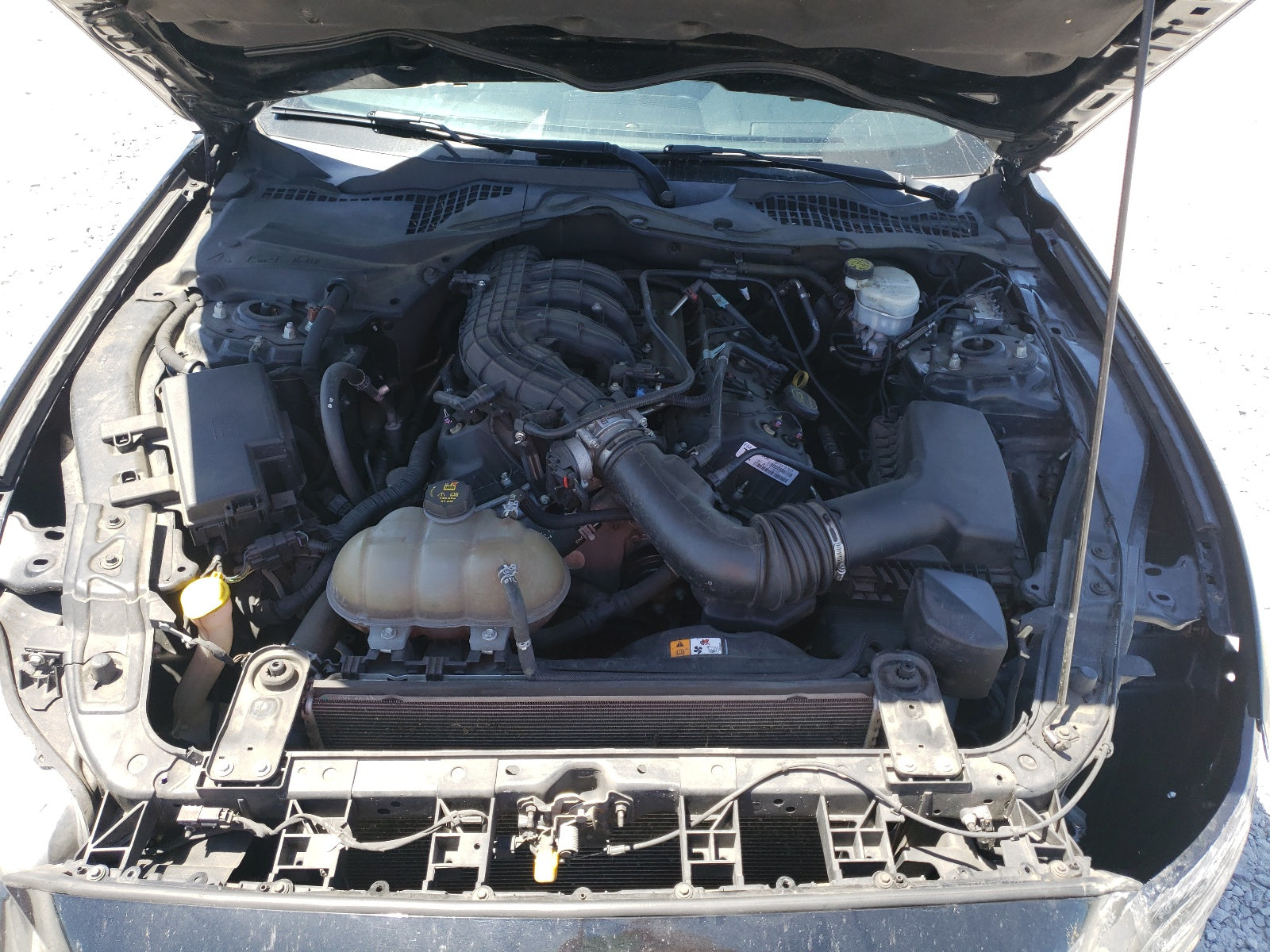 2015 FORD MUSTANG - 1FA6P8AM5F5357391 — photo 7