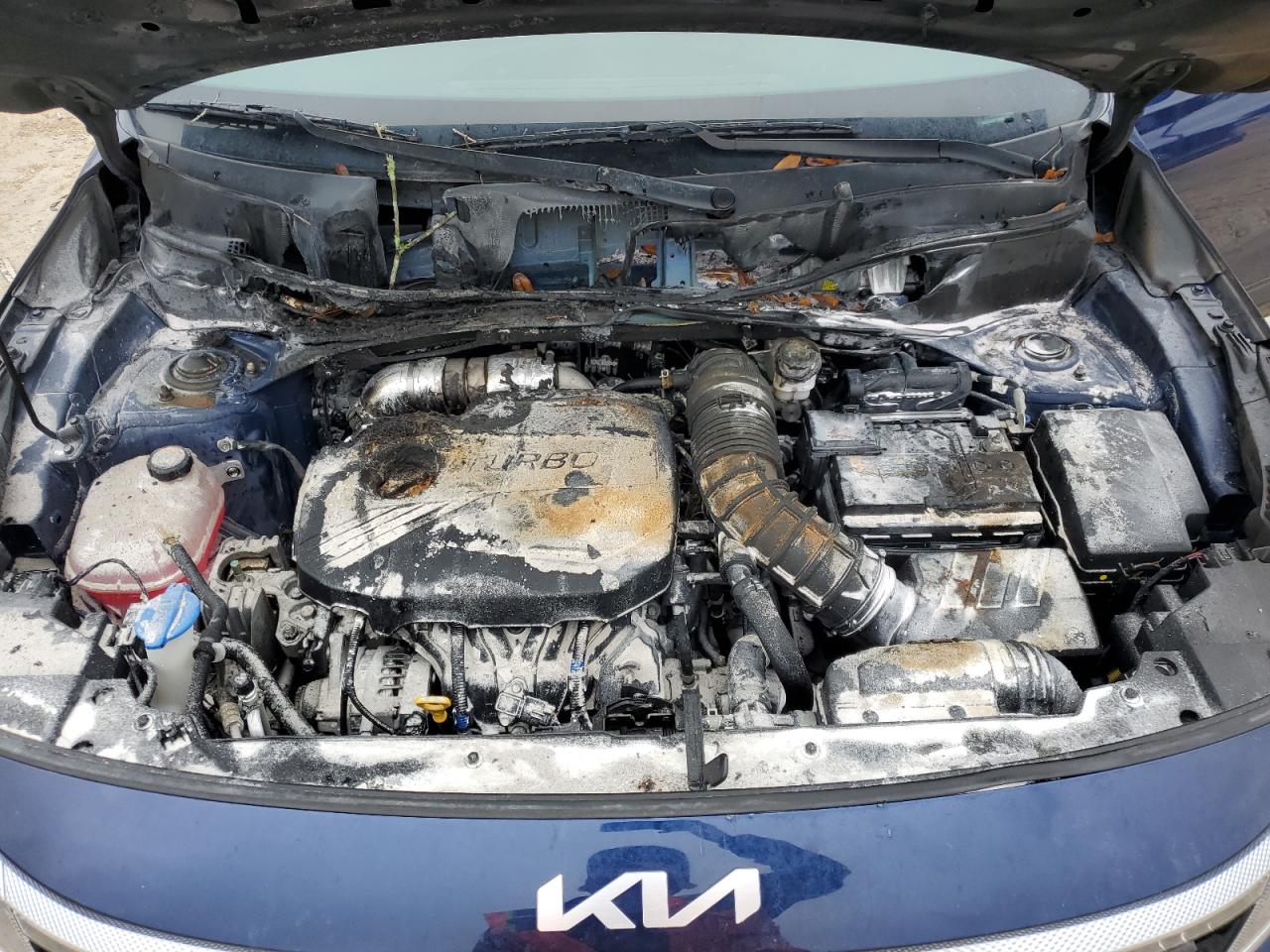 2023 KIA SELTOS SX - KNDETCA20P7360501 — photo 12