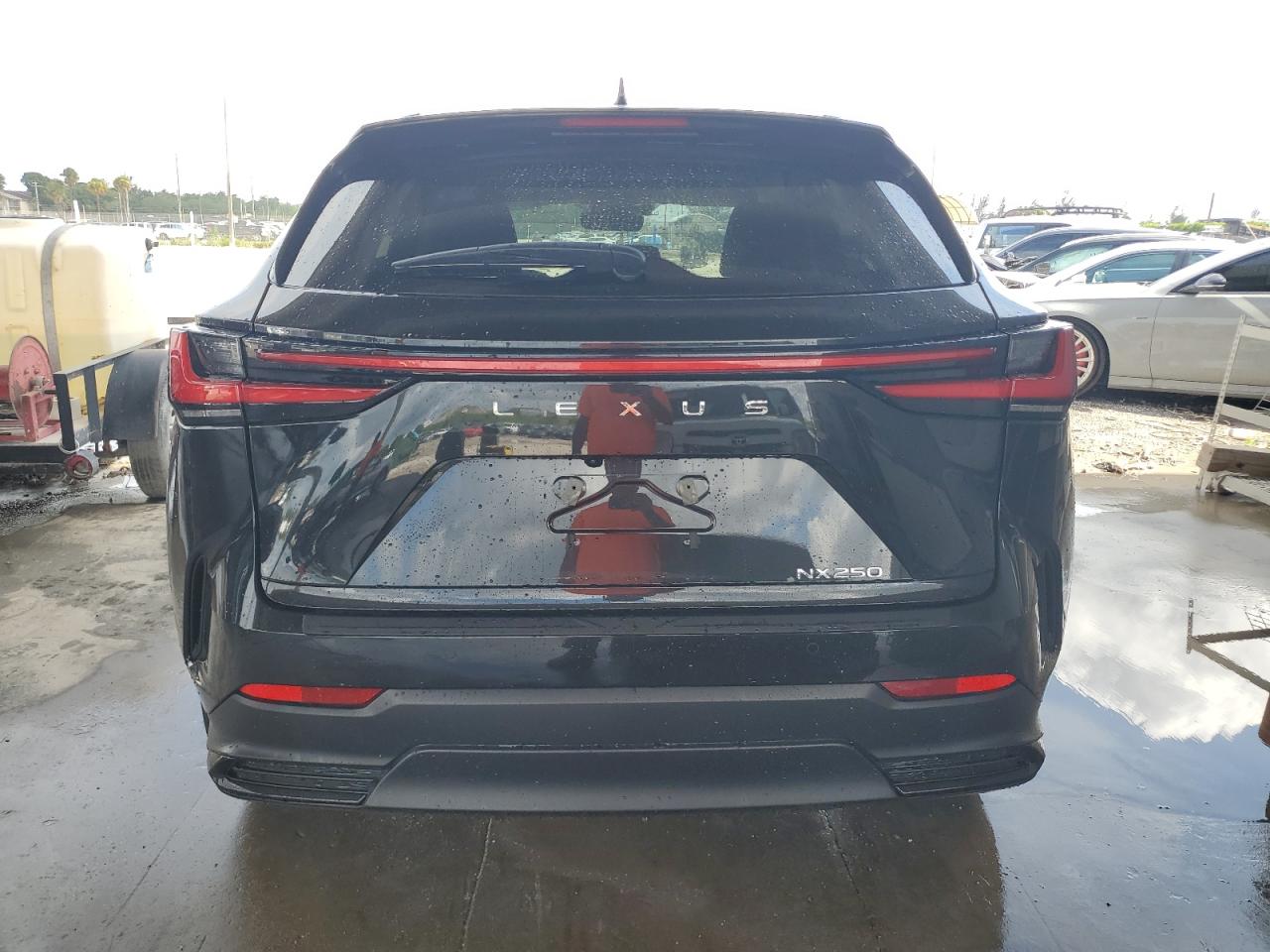 2025 LEXUS NX 250 PRE - 2T2GDCAZ9SC016834 — photo 6